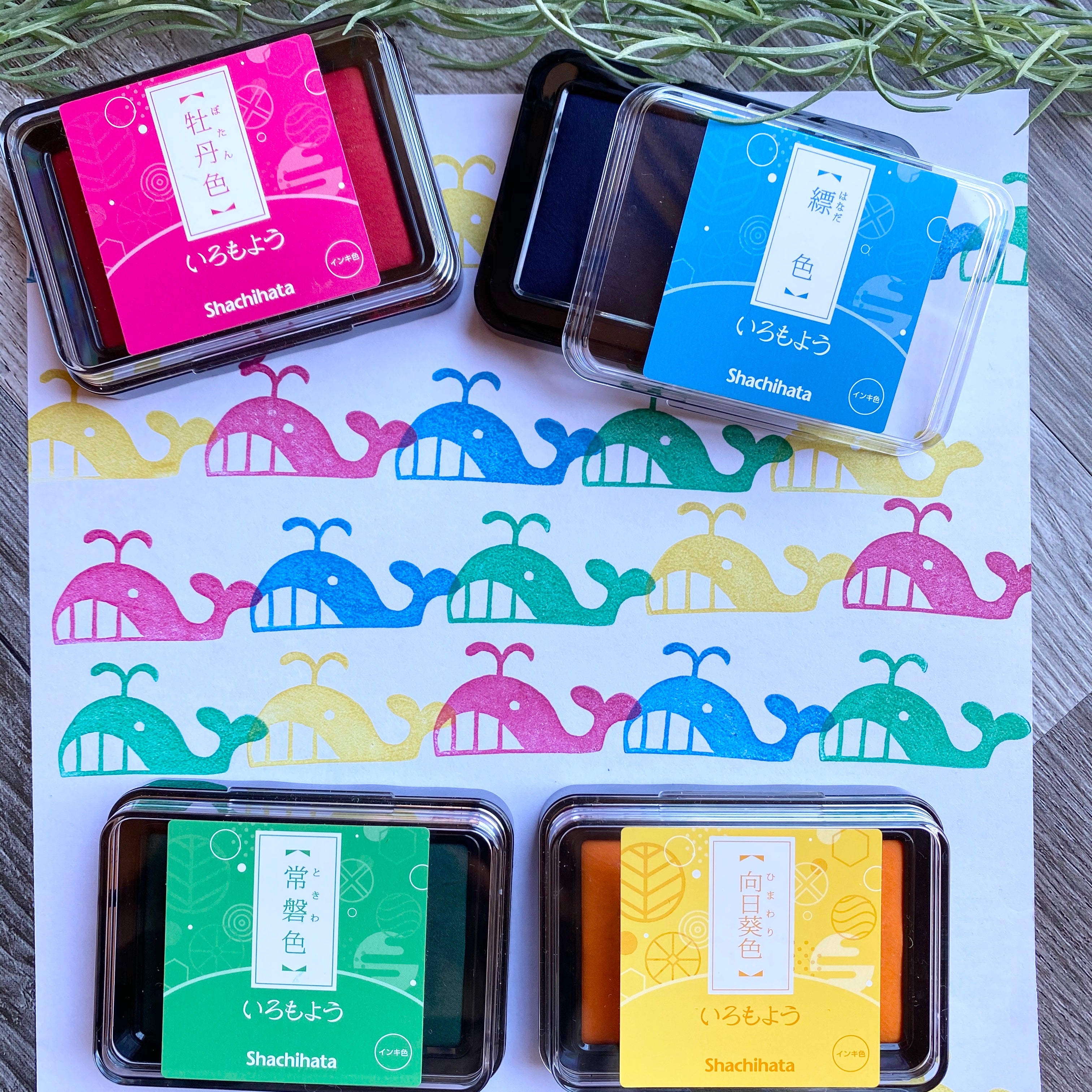 Iro-Moyou Summer Set of 4 Colors