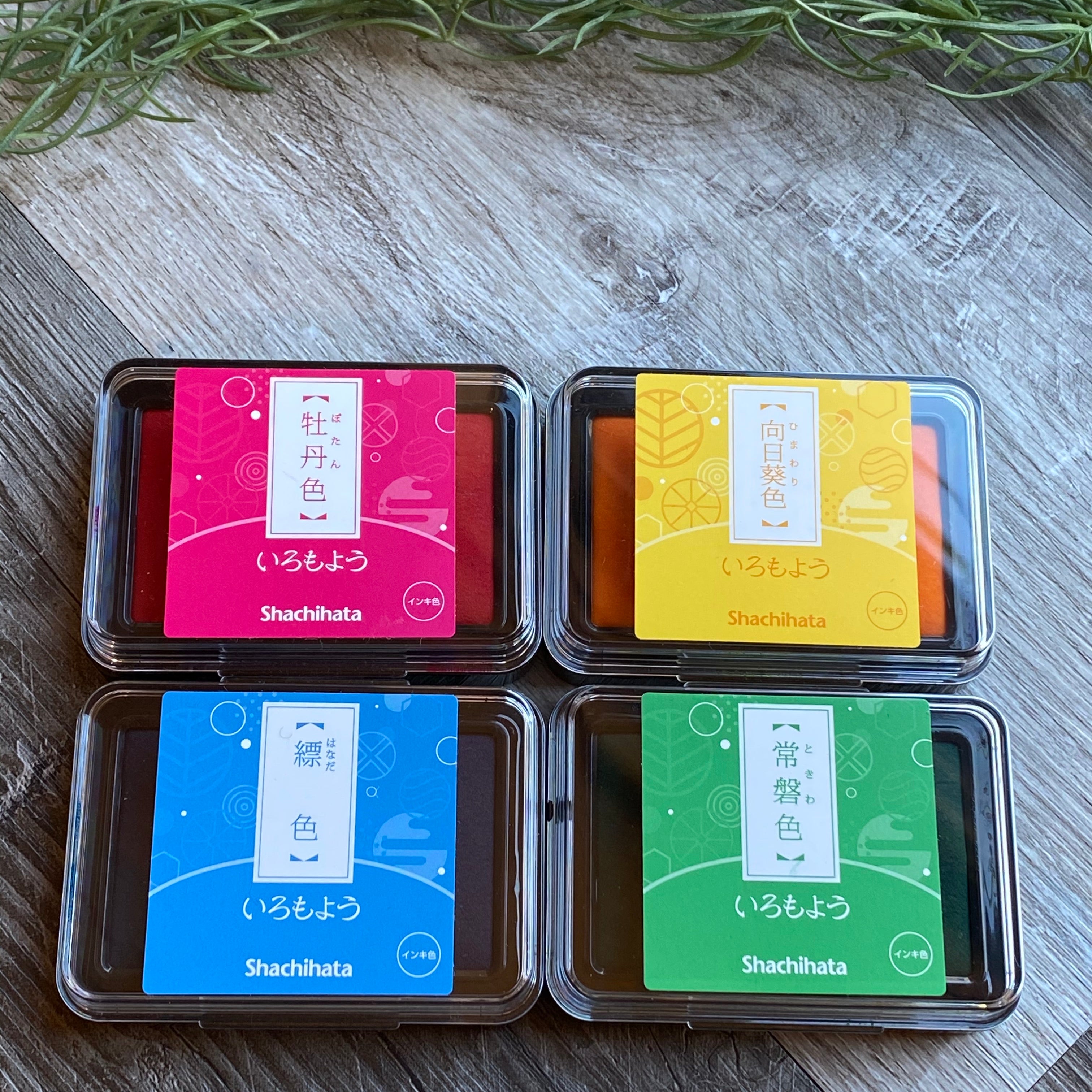 Iro-Moyou Summer Set of 4 Colors
