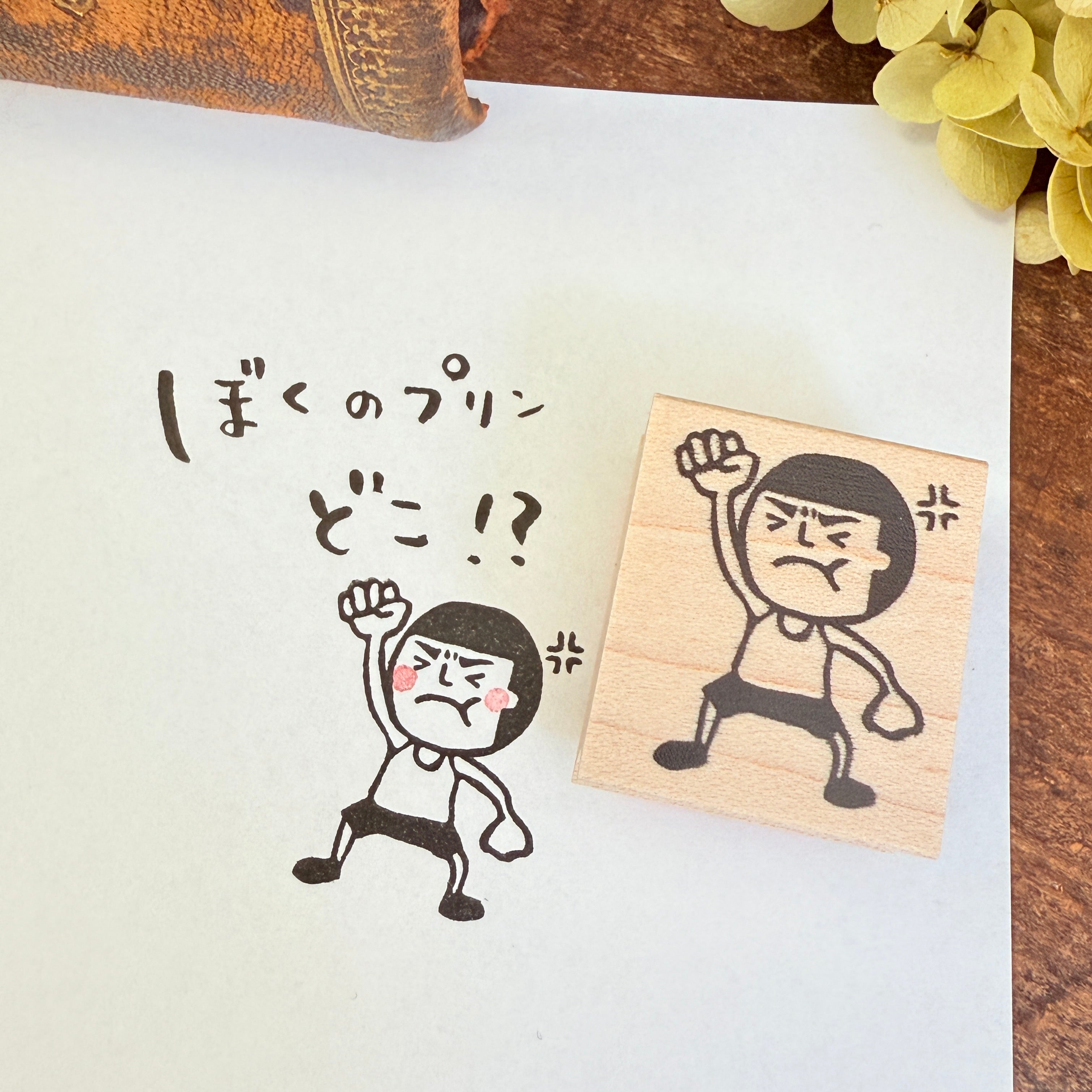 Angry Mamoru-kun