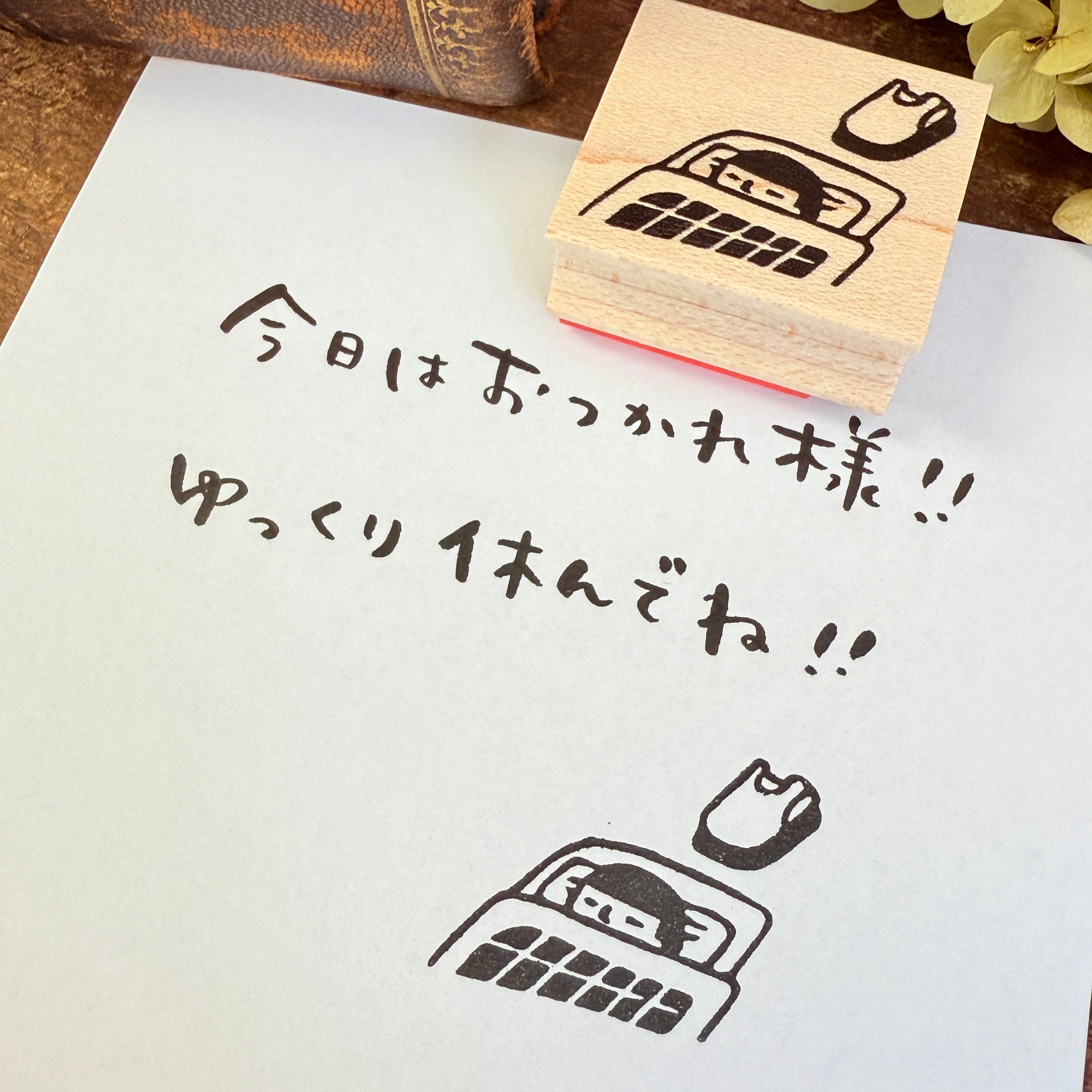 Good Night Mamoru-kun
