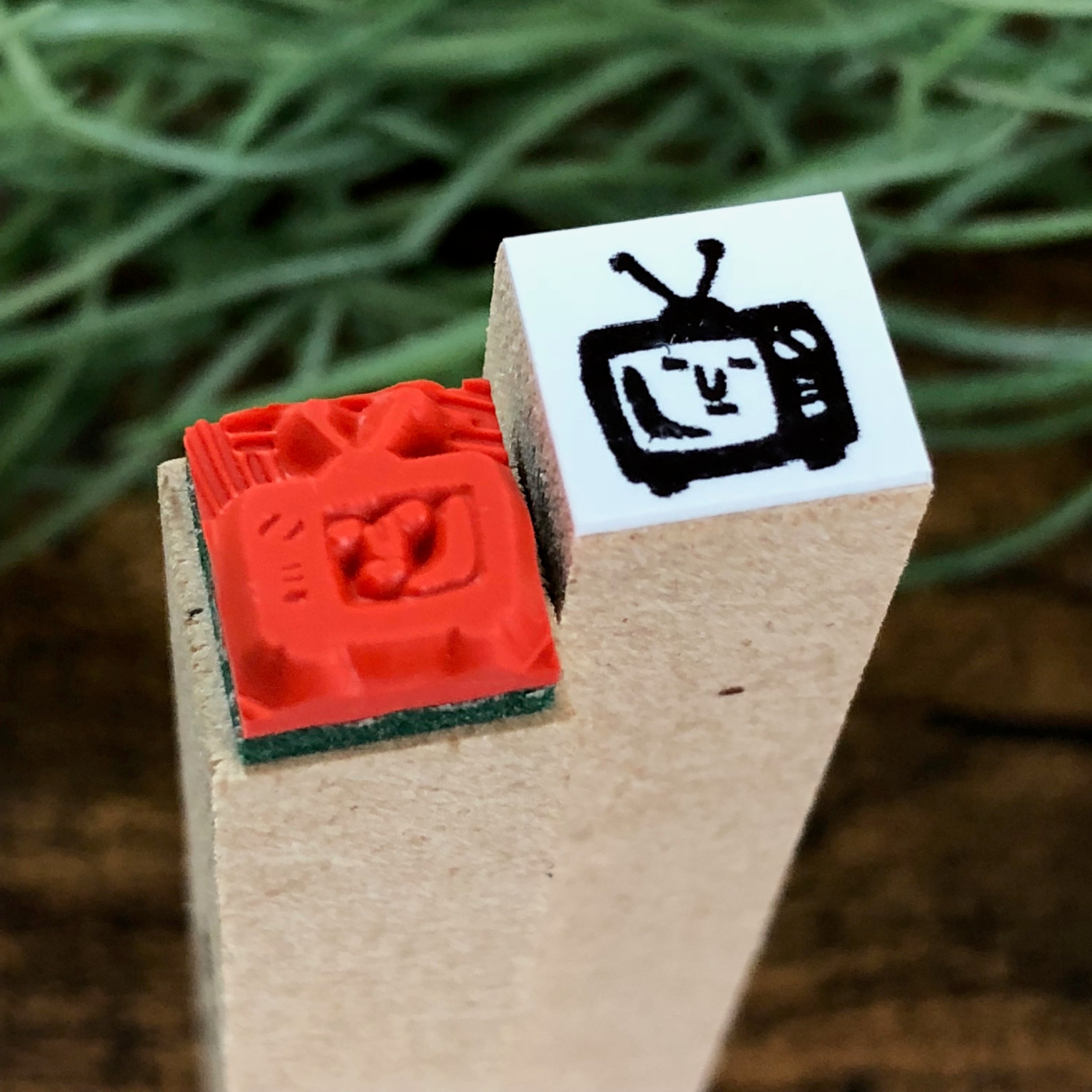 TV / Television