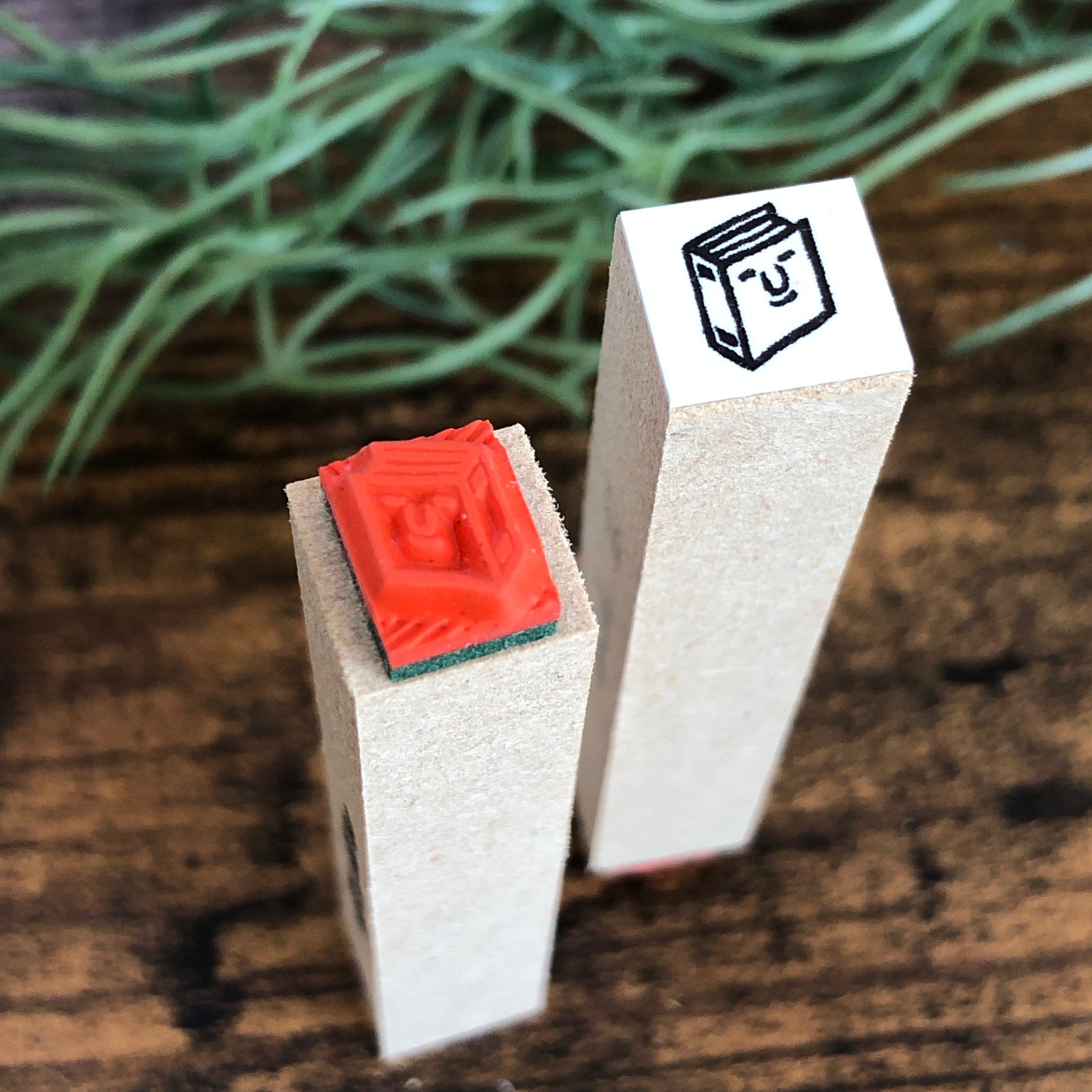 Mini Book