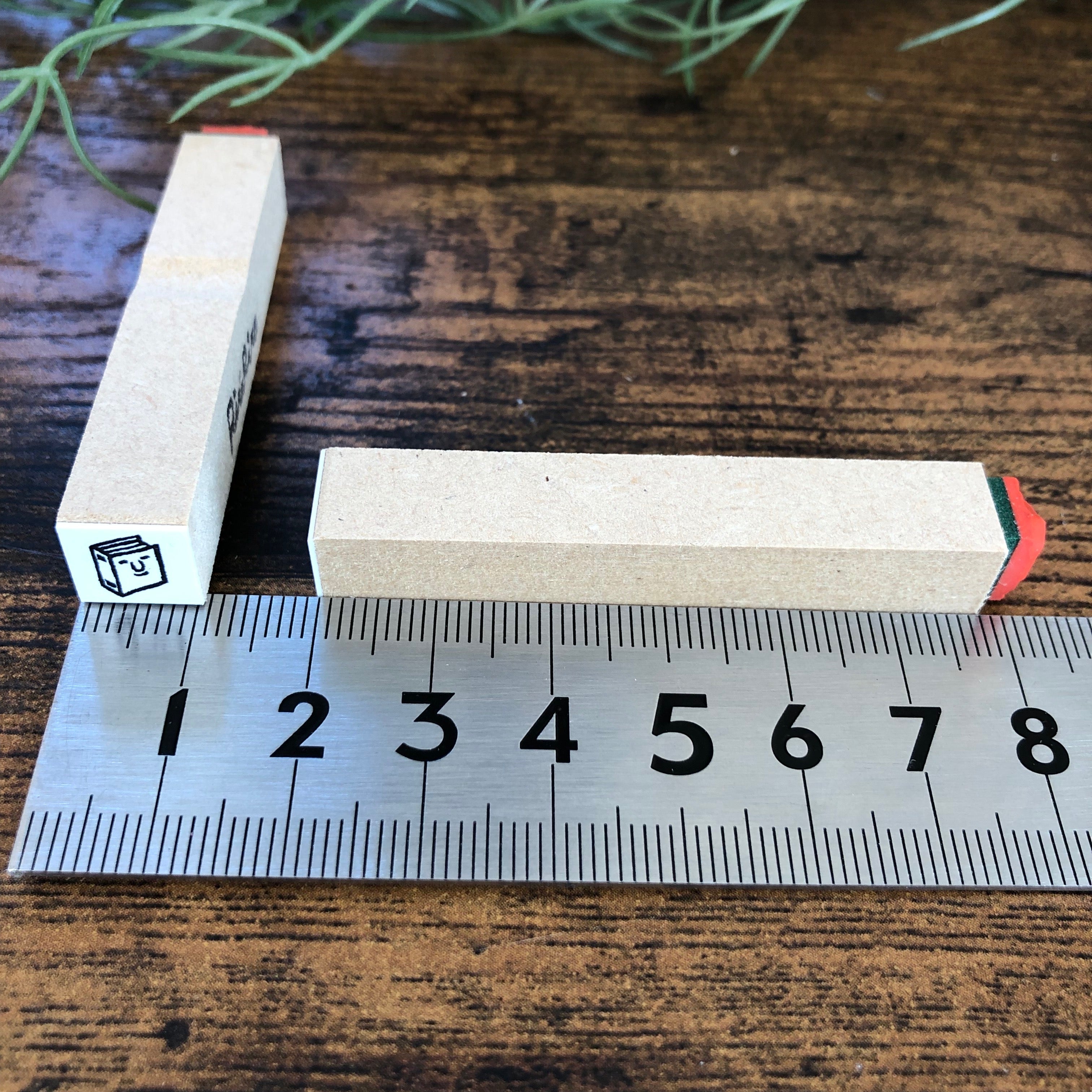 Mini Book