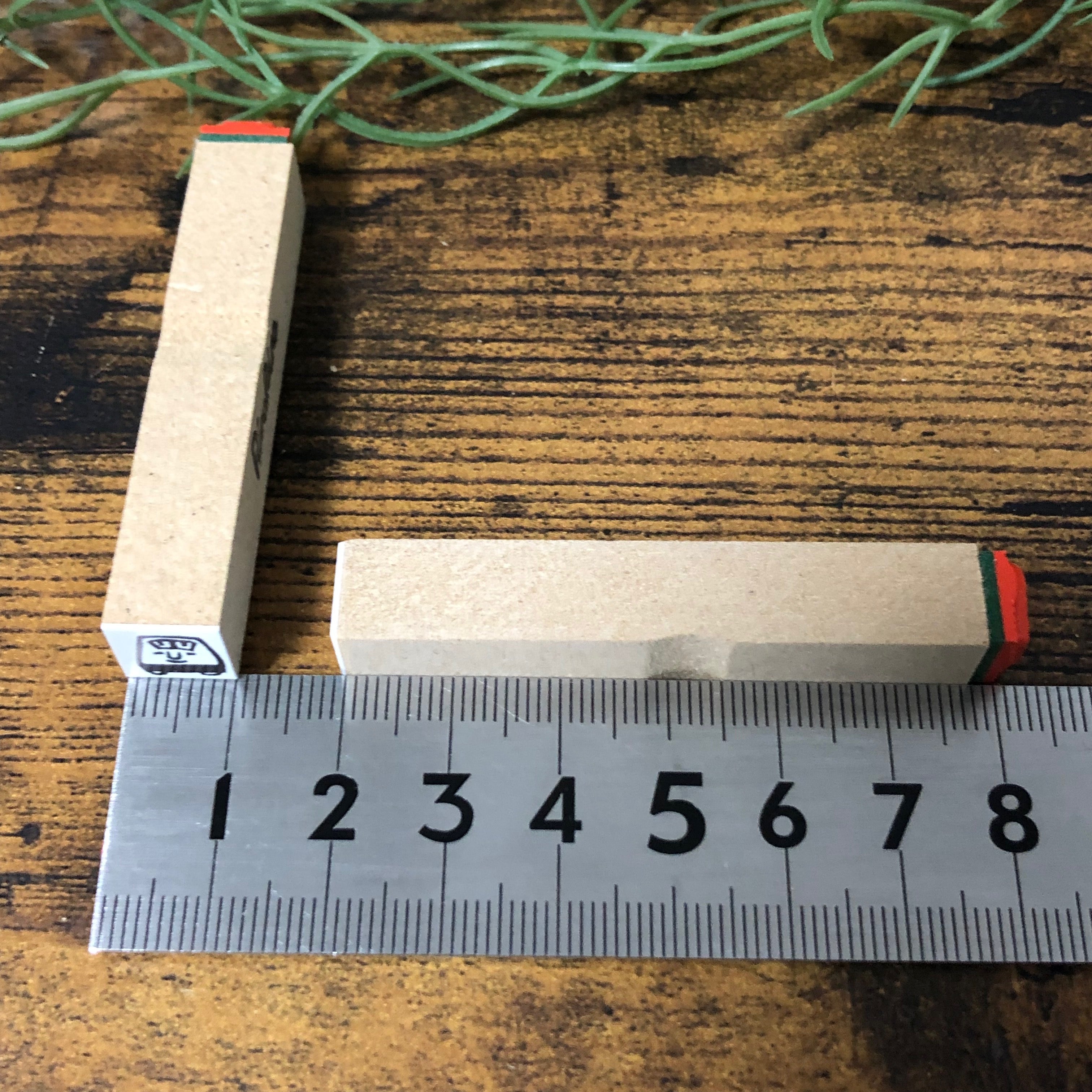 Body Weight Scale