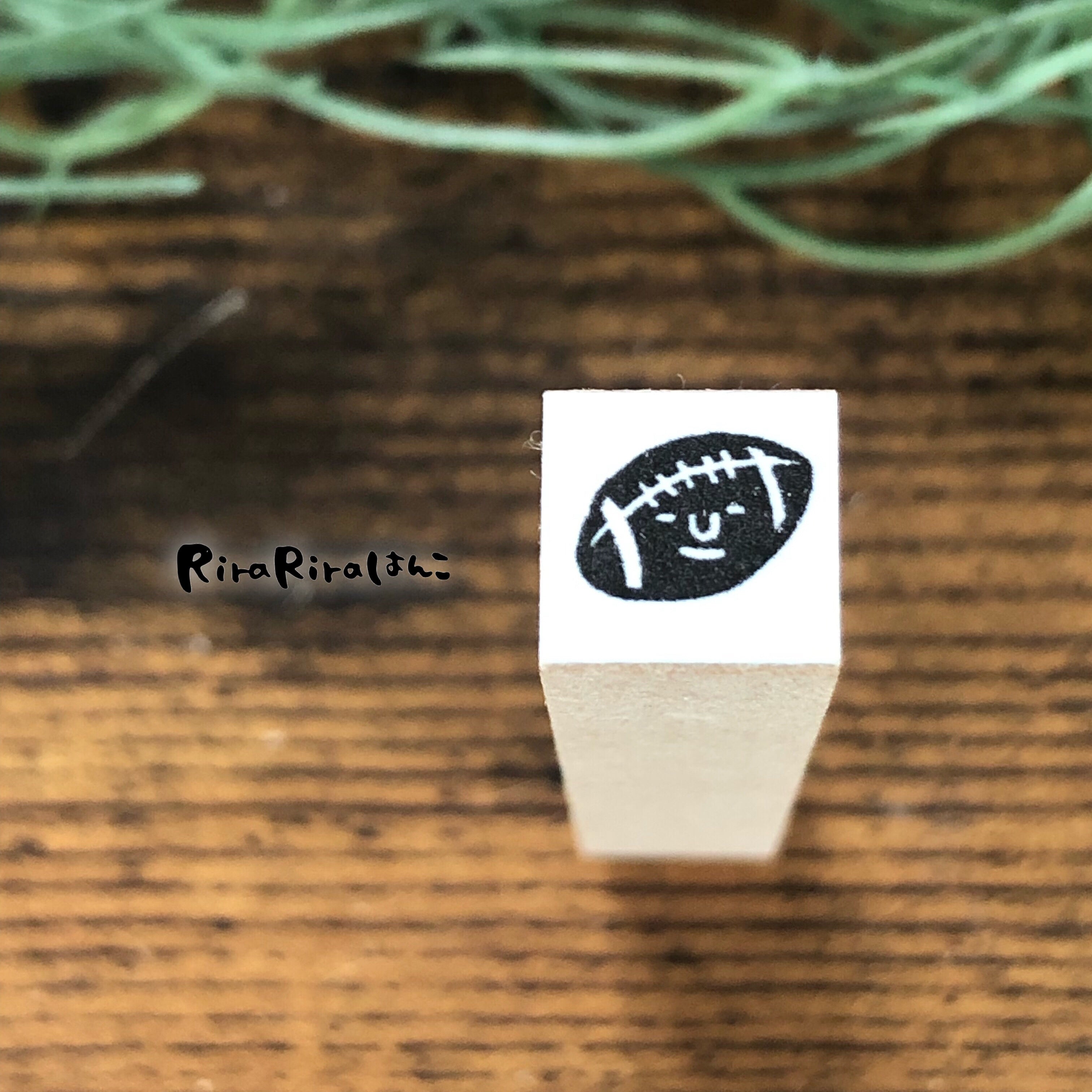 American Football / Rugby