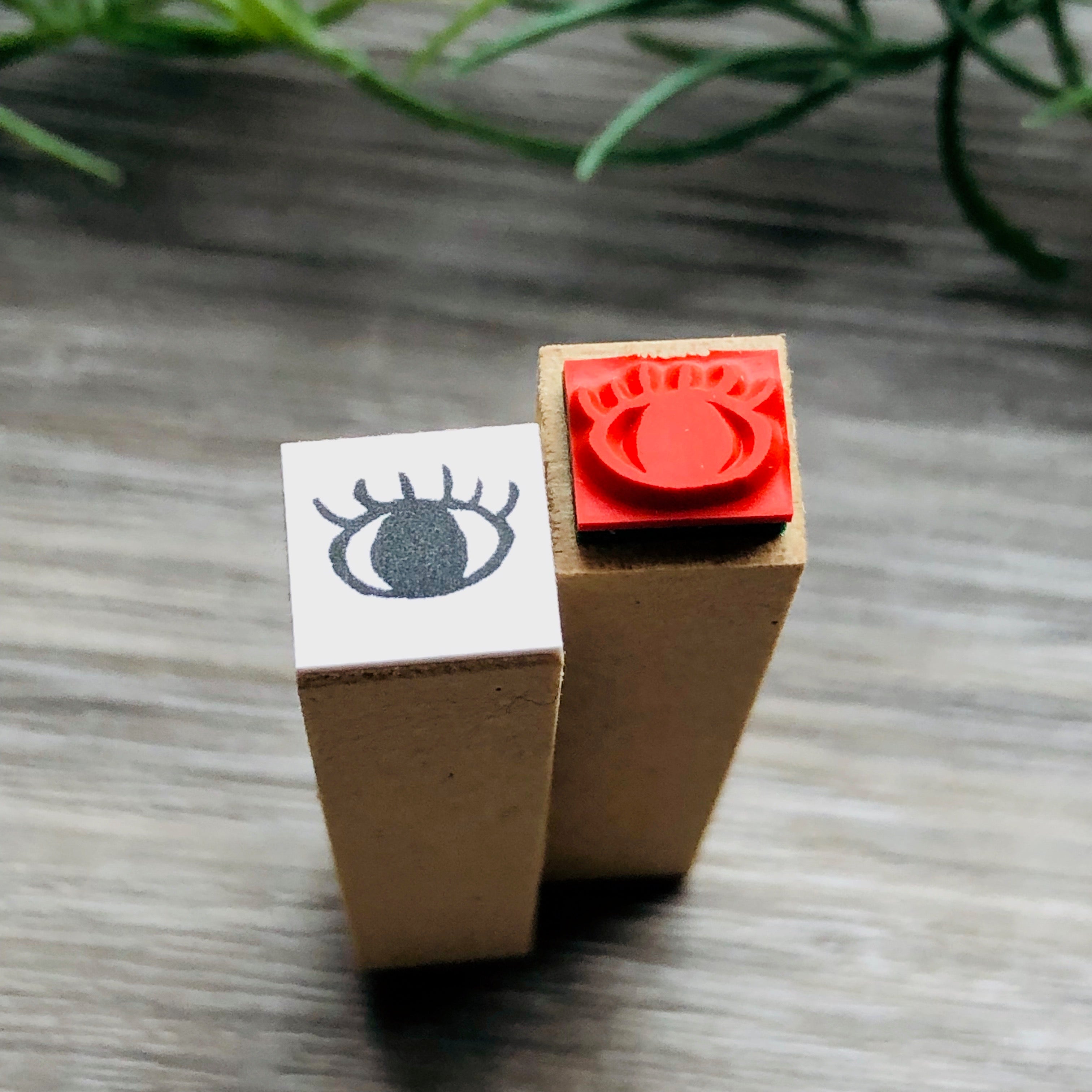 Eye