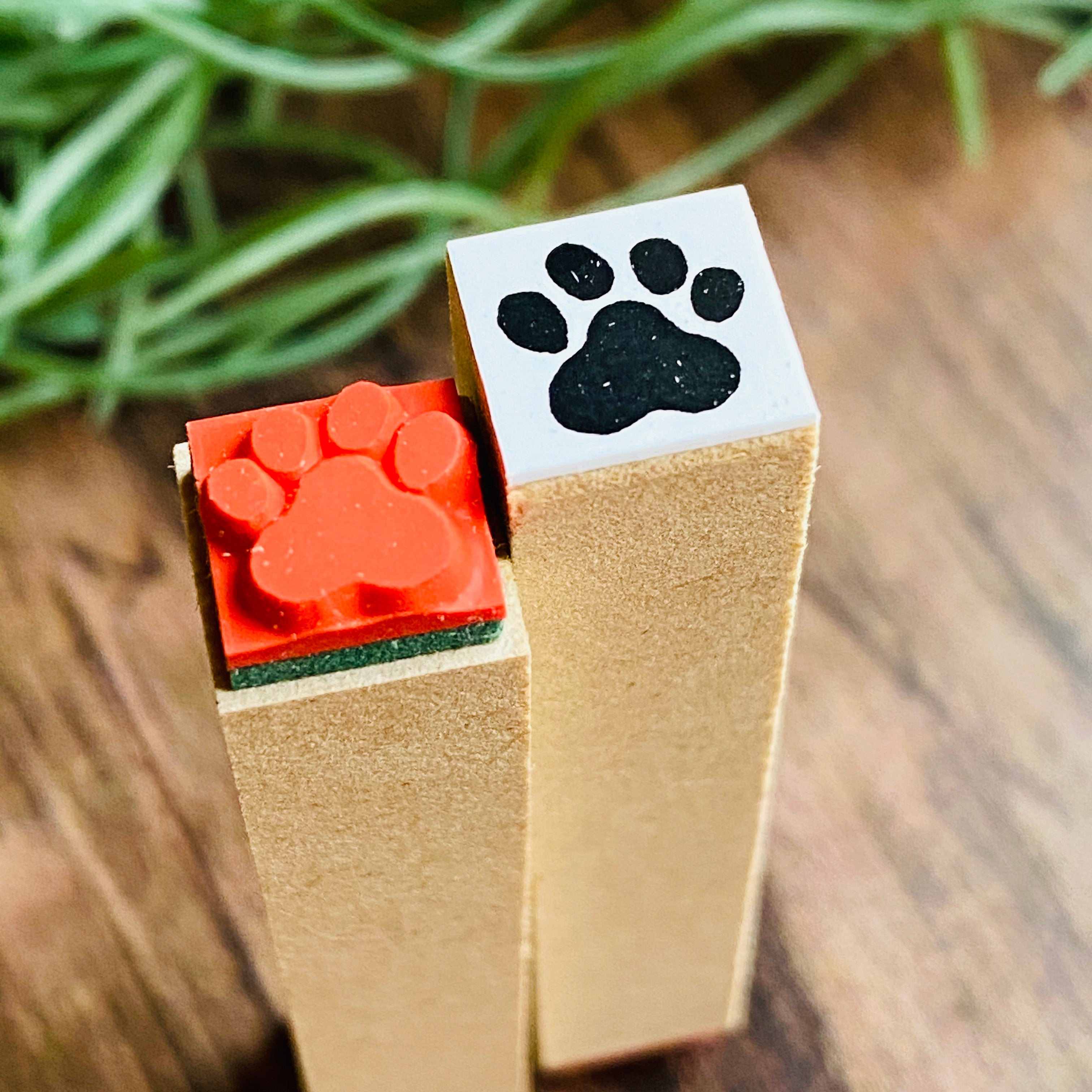 Paw Pad