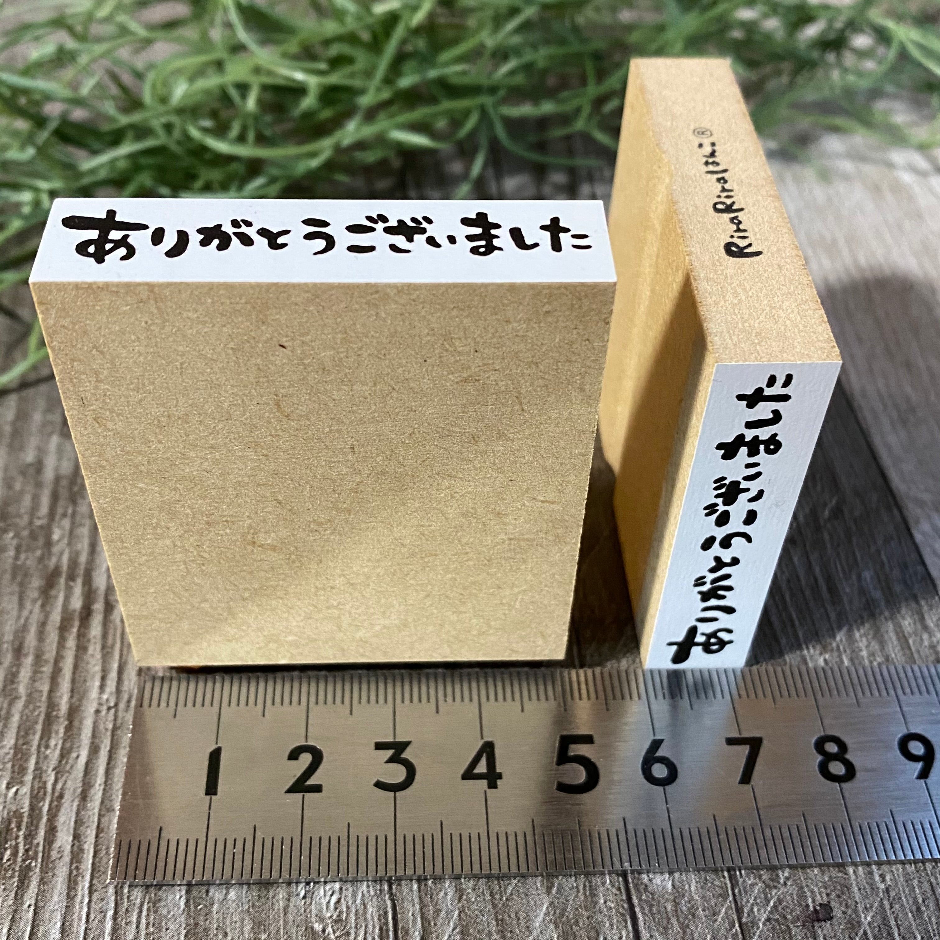 Thank You (Horizontal Writing)