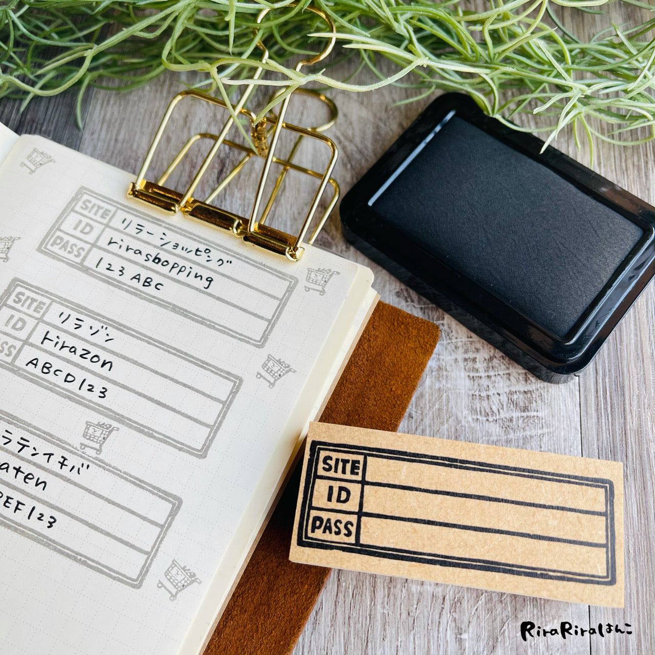 Password Management Frame