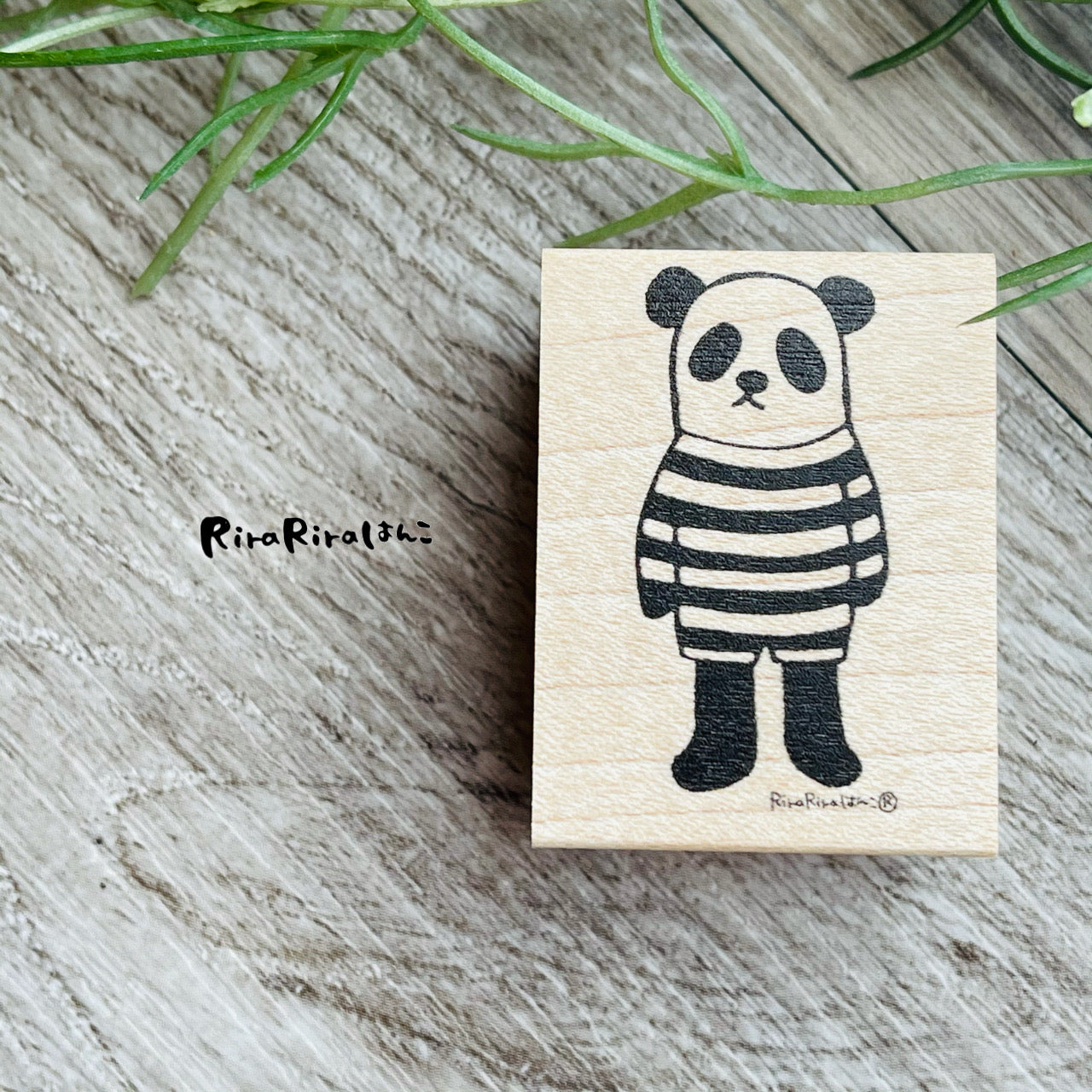 Standing Panda-chan