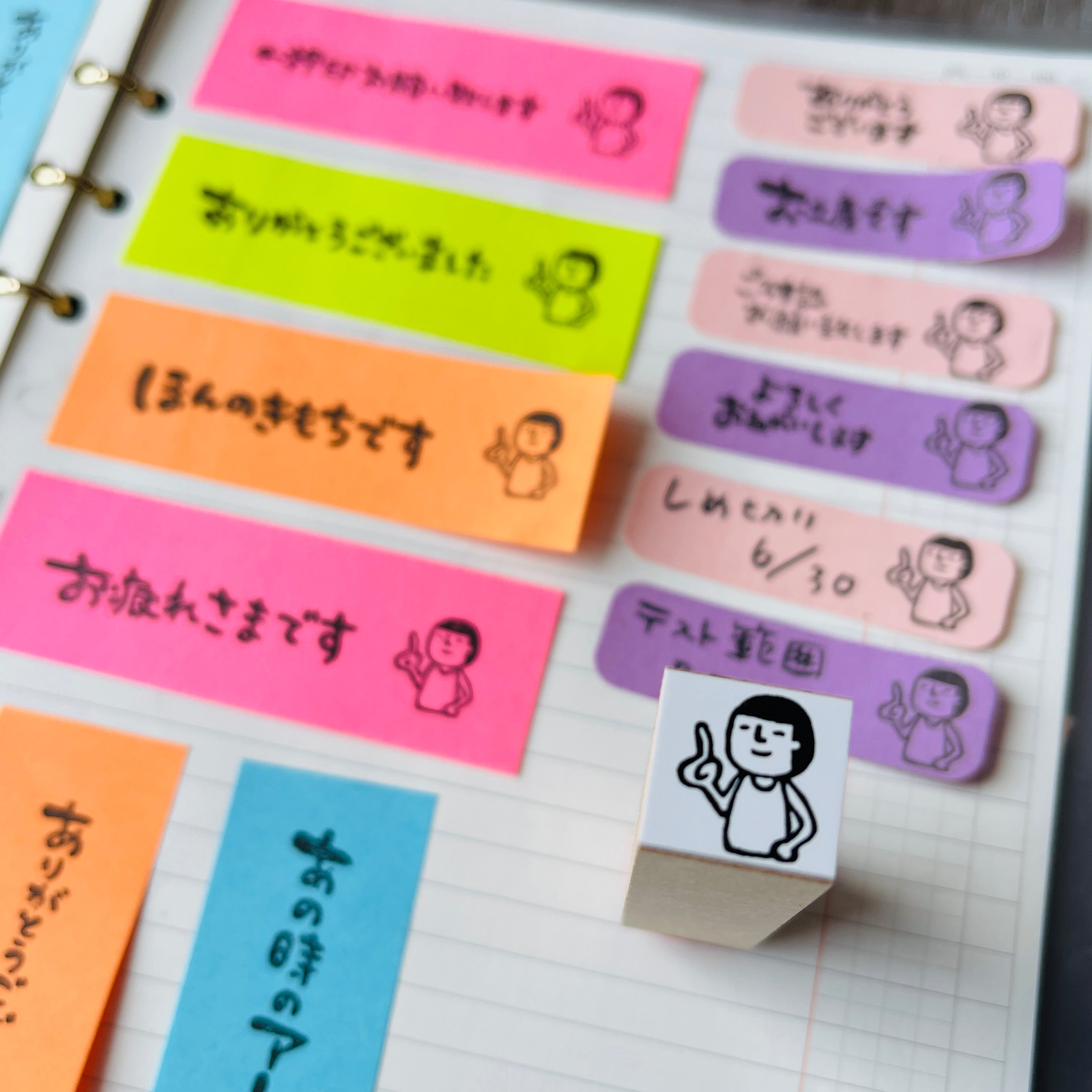 Mamoru-kun "Pointing Mini"