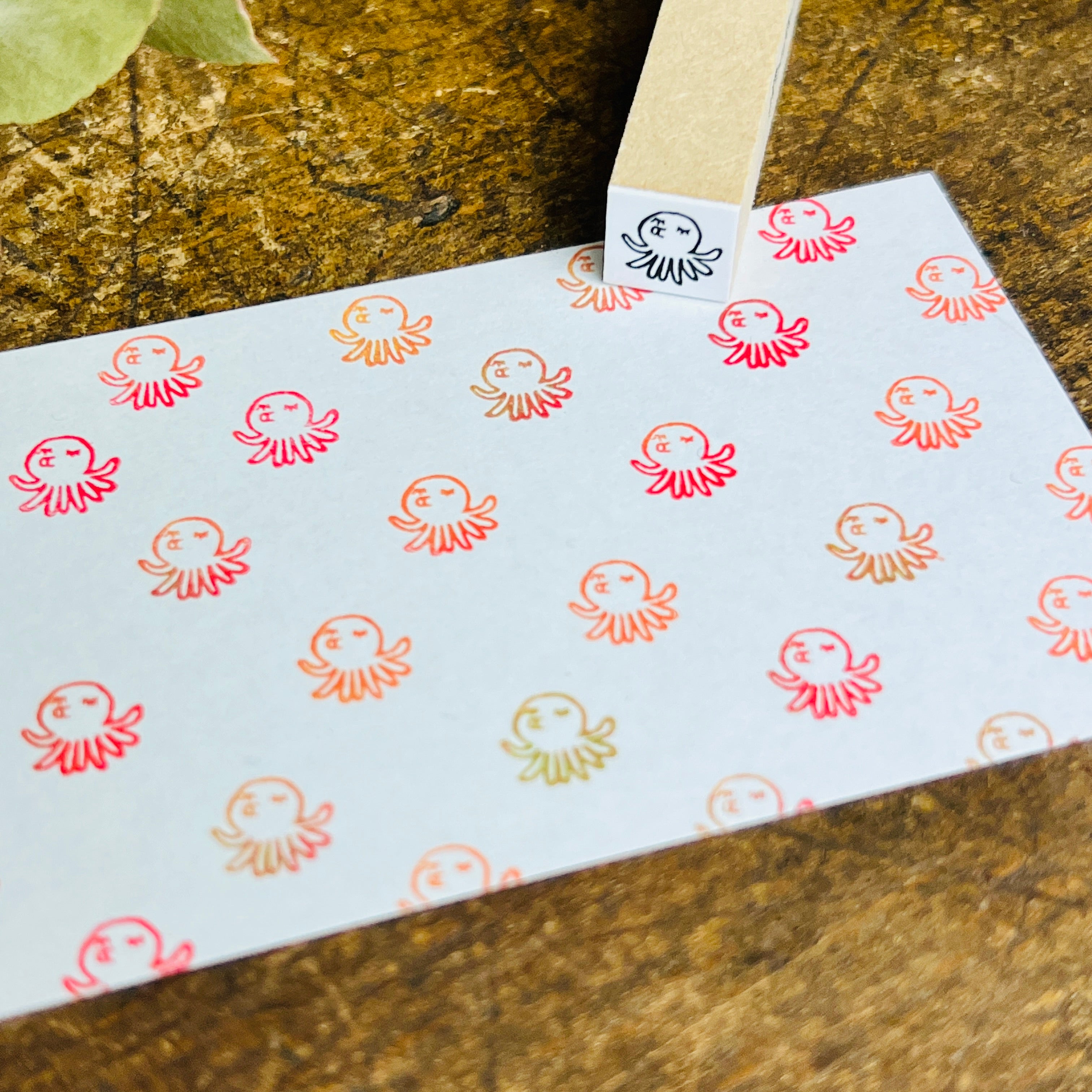 Octopus