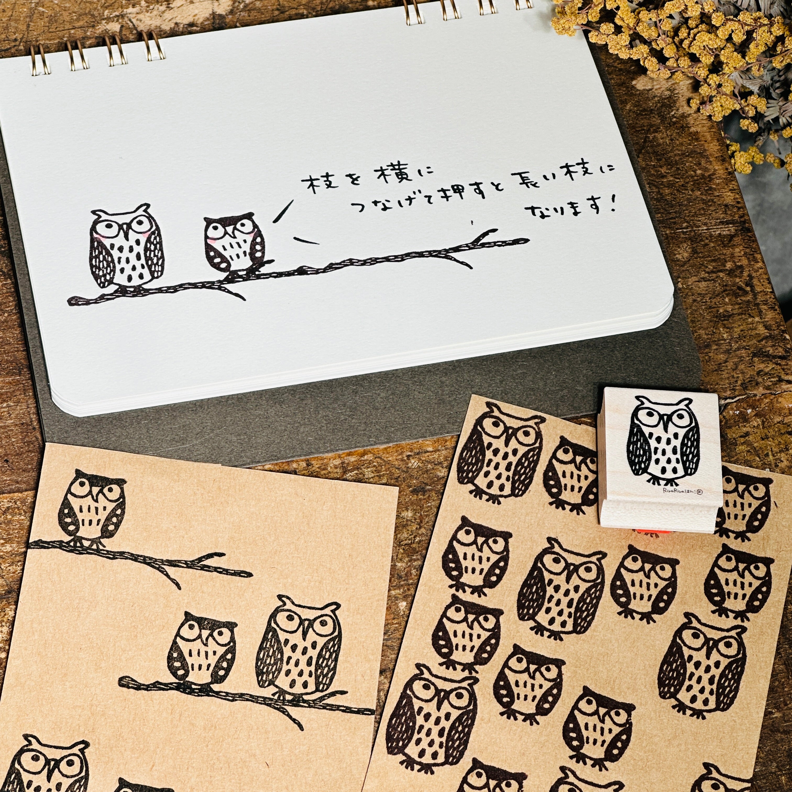 Child Owl (Mimizukun Jr.)