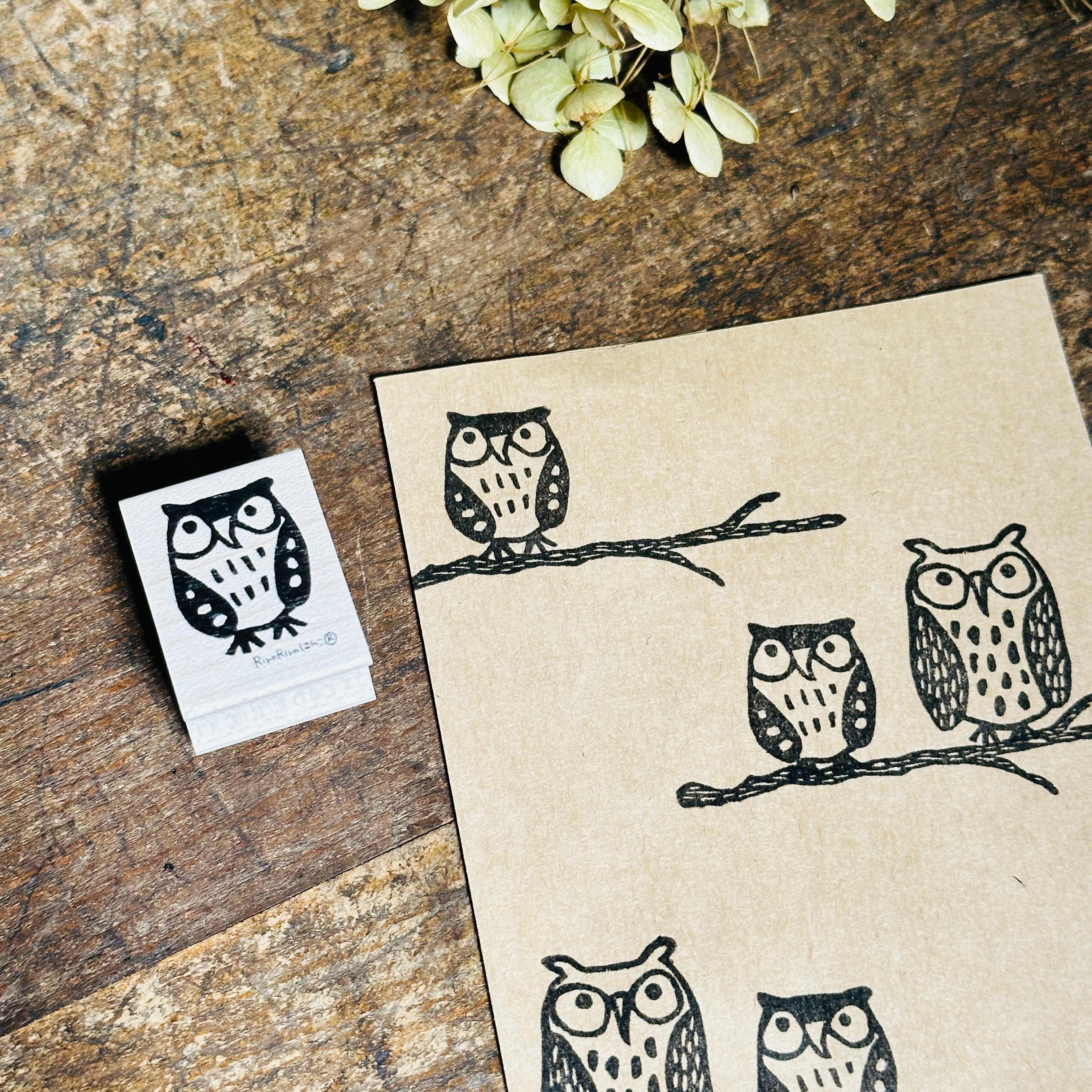 Child Owl (Mimizukun Jr.)