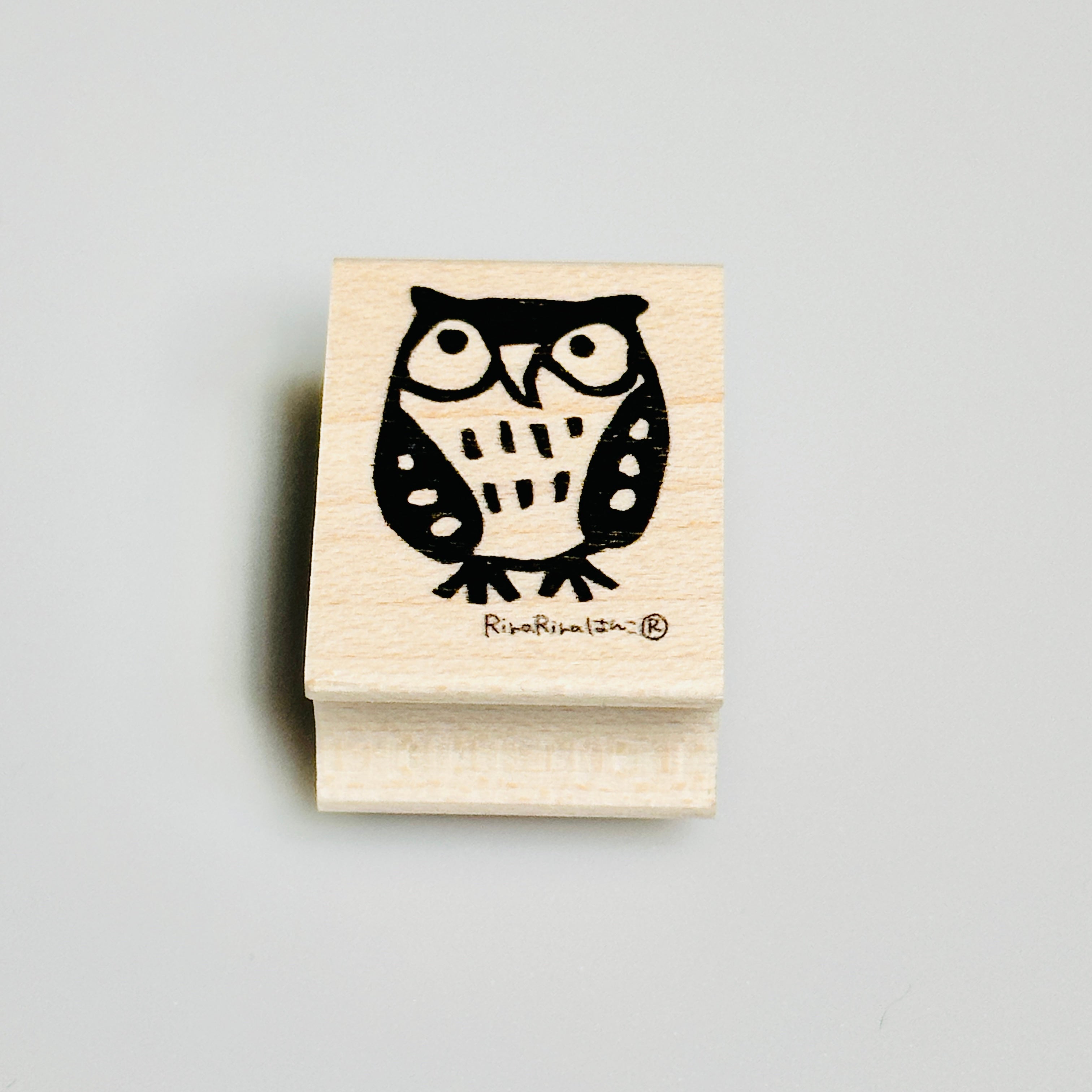 Child Owl (Mimizukun Jr.)