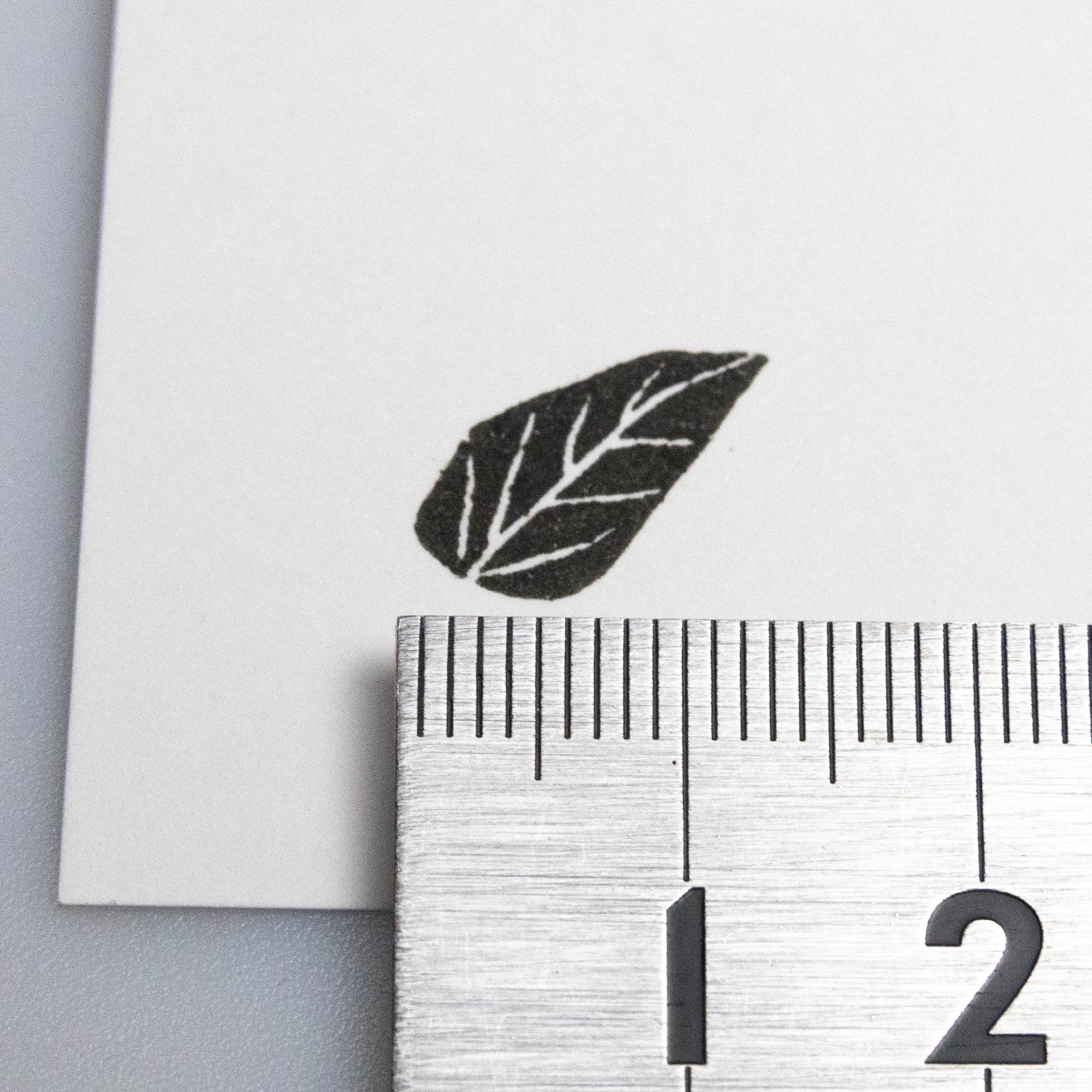 Leaf