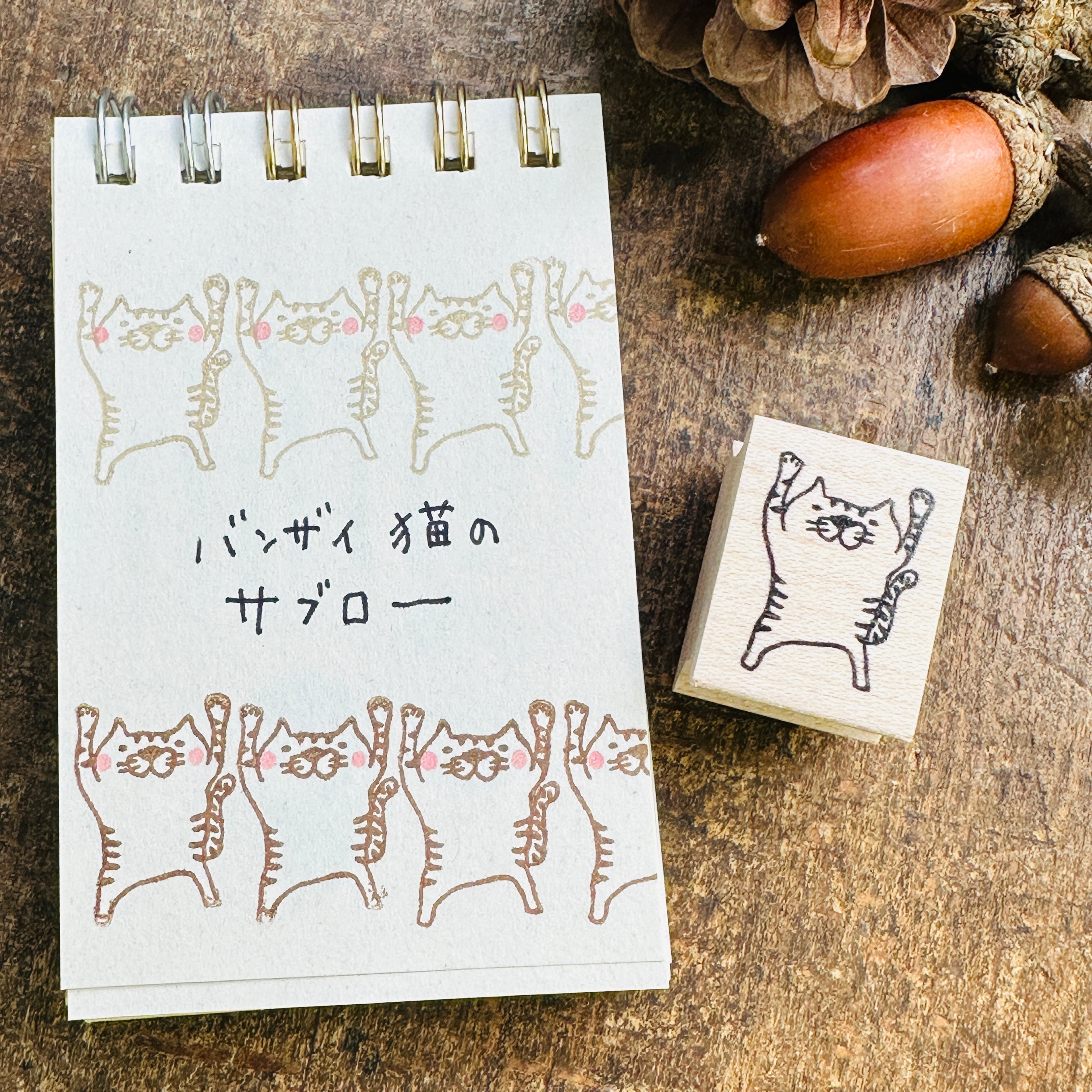 Cat Saburo "Hooray"