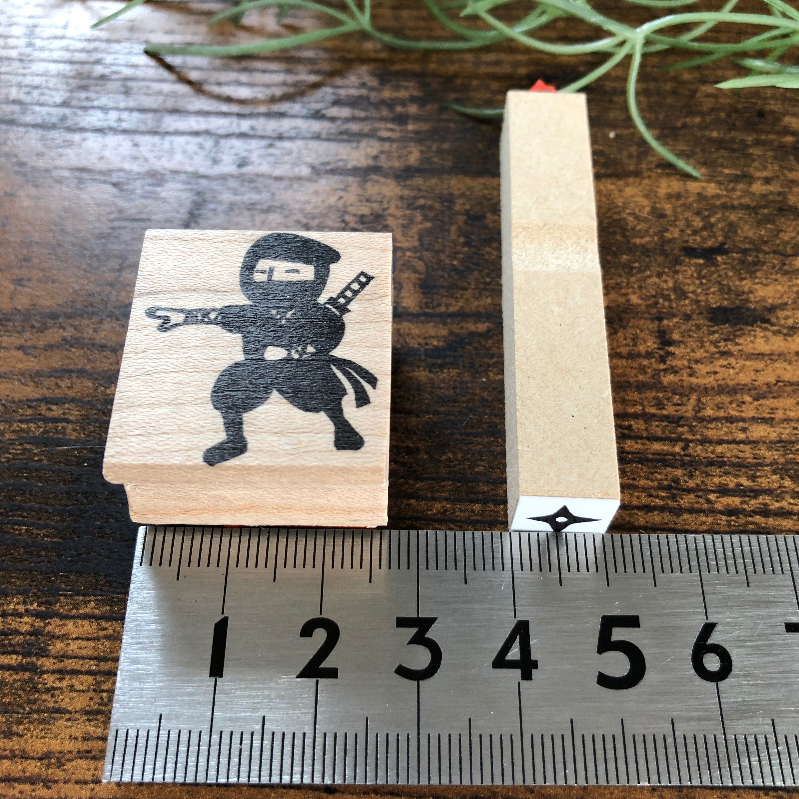 Ninja & Shuriken