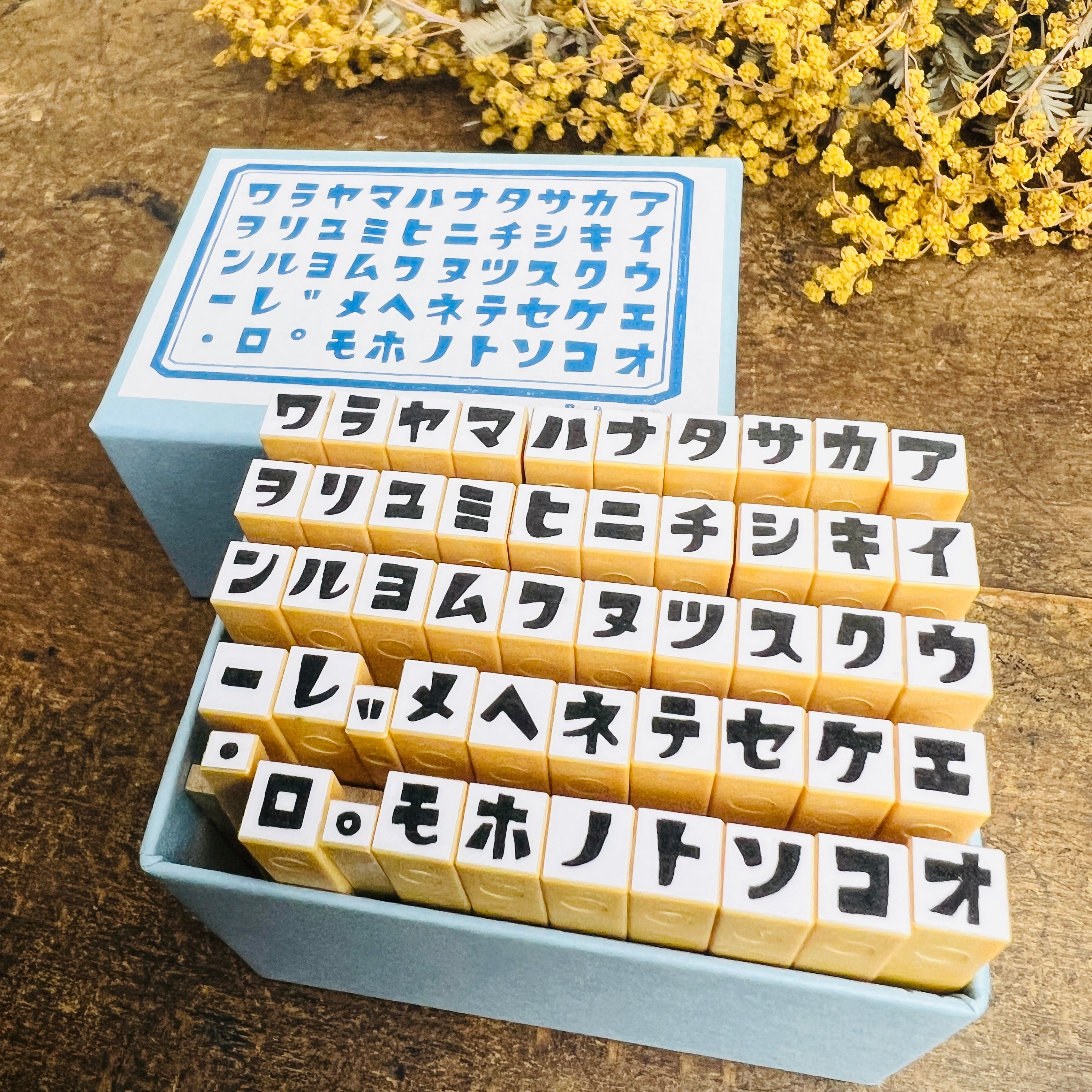 Rira Characters Katakana 50 Sounds Set (Boxed)