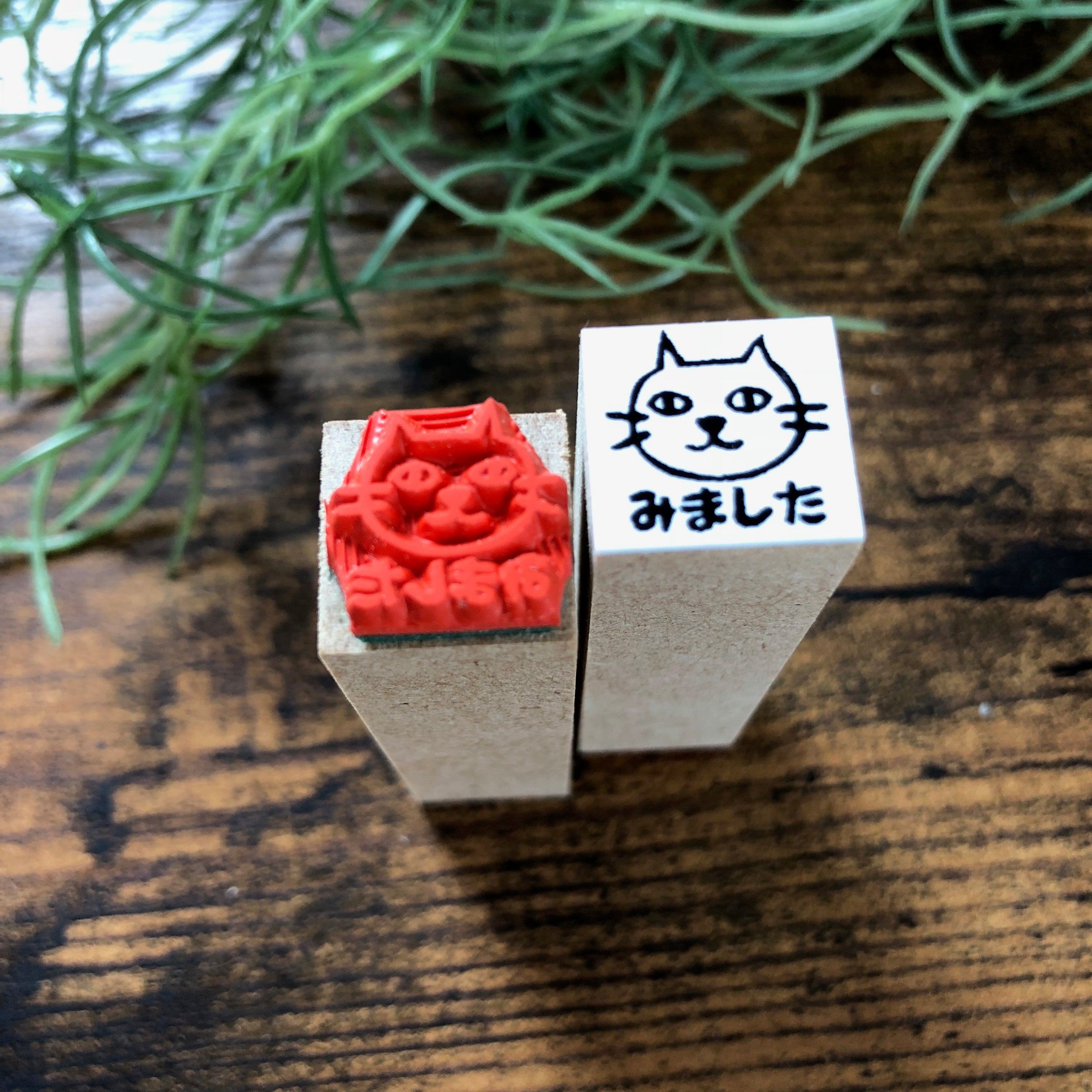 Nyanko "I saw it" Face Stamp