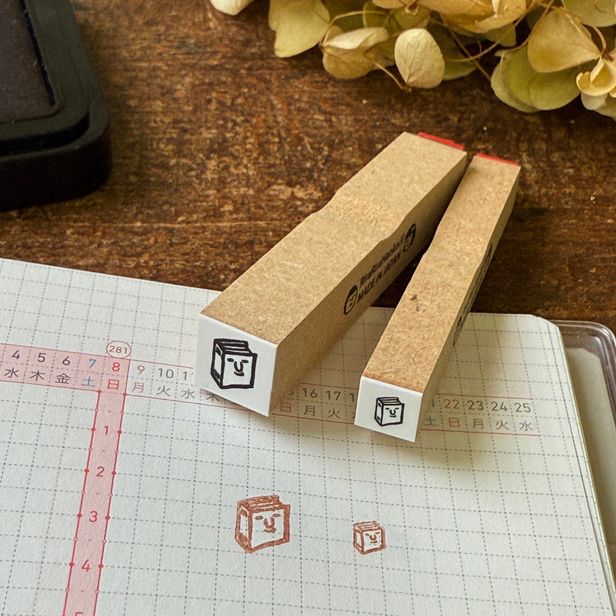 Mini Book
