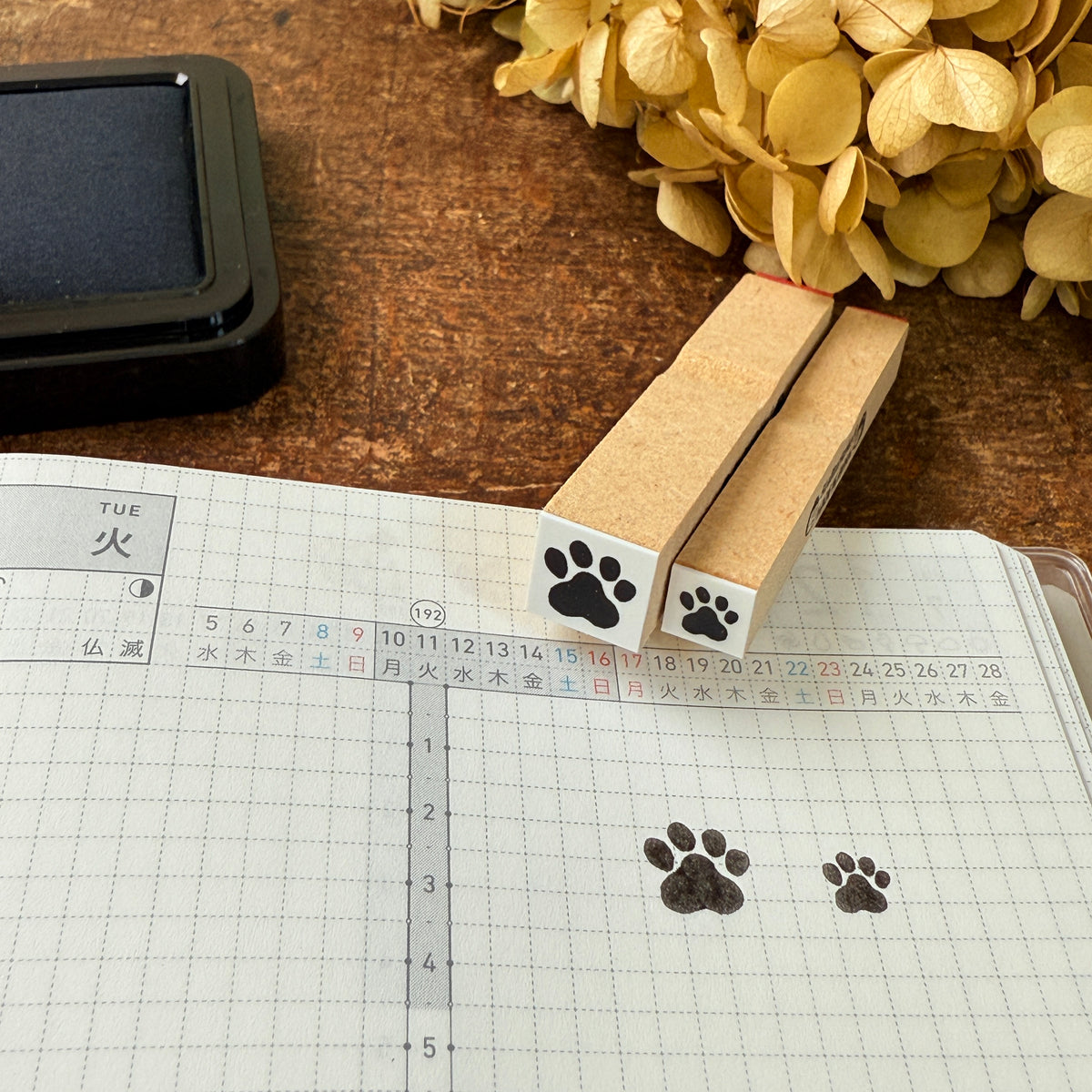 Paw Pad